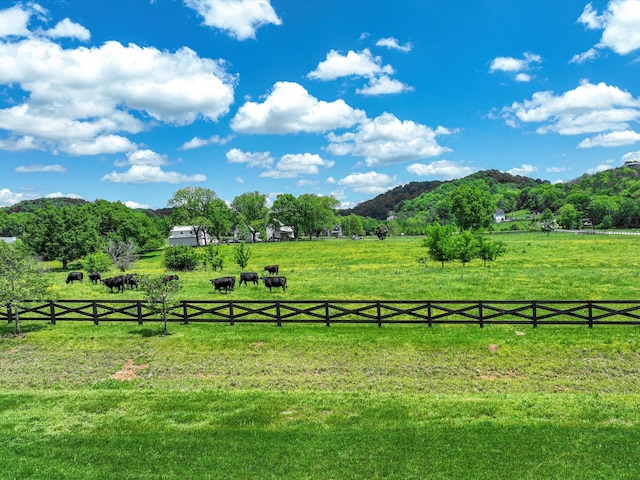 5000 Gates Mill Rdg, Thompsons Station, TN 37179 - photo 8