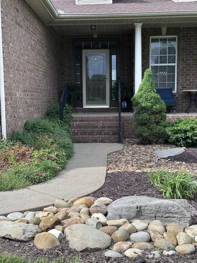 view of exterior entry with brick siding, a shingled roof, and covered porch