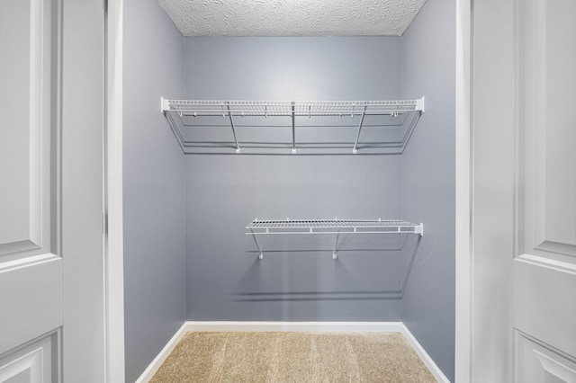 914 Woodland St, Clarksville, TN 37040 - walk in closet with carpet flooring