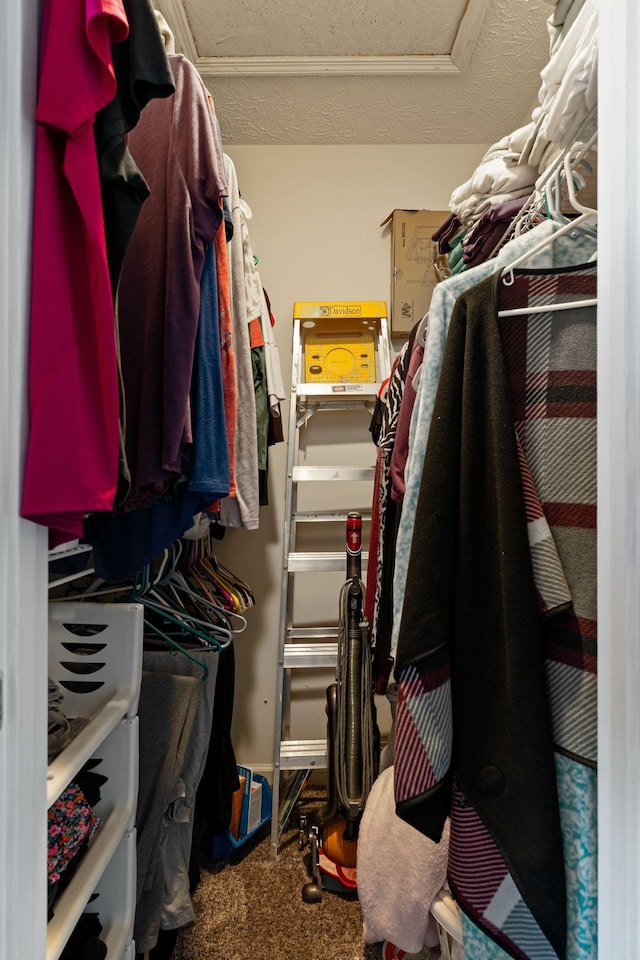 walk in closet featuring carpet floors
