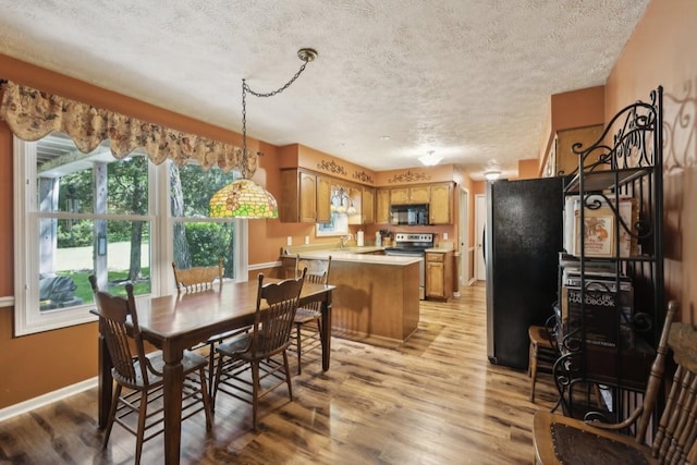 421 Robertson Dr, Smyrna, TN 37167 - dining room featuring light wood-style floors, a textured ceiling, and baseboards