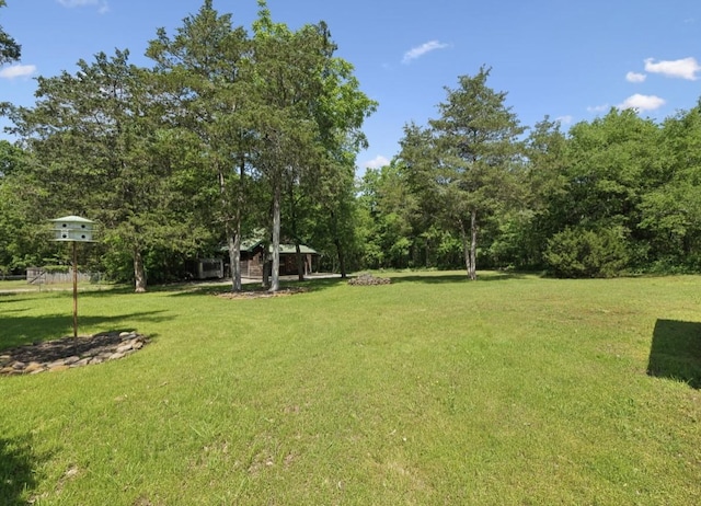 421 Robertson Dr, Smyrna, TN 37167 - view of green lawn