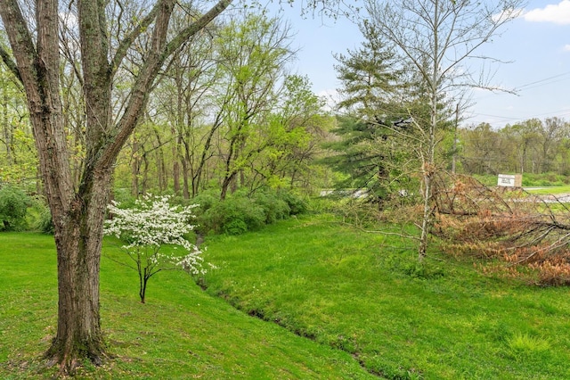 5296 Edmondson Pike, Nashville, TN 37211 - photo 5