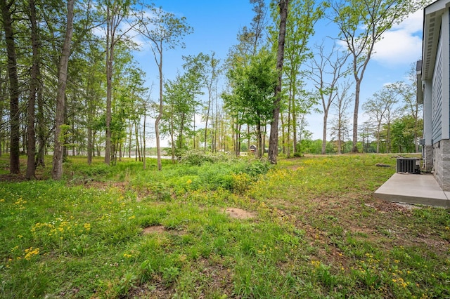 61 Sunset Ct, Tracy City, TN 37387 - view of yard with cooling unit