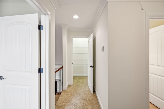 1015 Kingman Ave, Murfreesboro, TN 37129 - corridor with crown molding, light colored carpet, baseboards, and recessed lighting