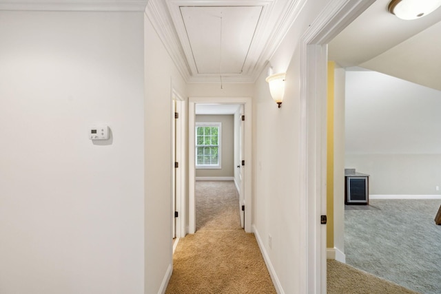 1015 Kingman Ave, Murfreesboro, TN 37129 - hall featuring attic access, light carpet, baseboards, and ornamental molding