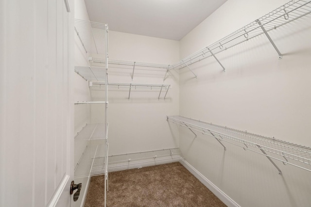 1015 Kingman Ave, Murfreesboro, TN 37129 - spacious closet featuring carpet floors
