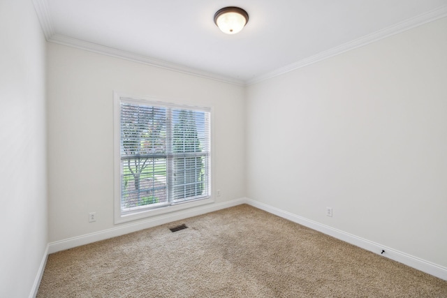 1015 Kingman Ave, Murfreesboro, TN 37129 - carpeted spare room featuring ornamental molding and baseboards