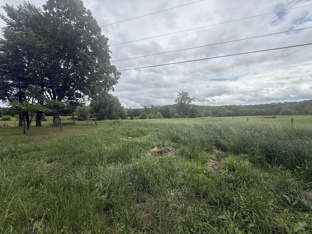 2851 Cooper Creek Rd, Woodlawn, TN 37191 - view of yard with a view of countryside