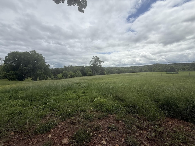 2851 Cooper Creek Rd, Woodlawn, TN 37191 - view of undeveloped land with rural landscape