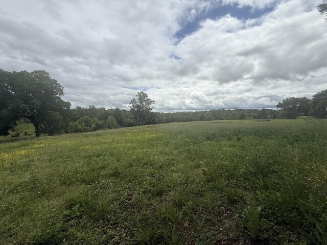 2851 Cooper Creek Rd, Woodlawn, TN 37191 - view of undeveloped land with rural landscape