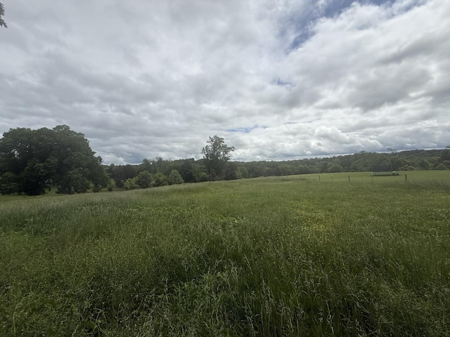 2851 Cooper Creek Rd, Woodlawn, TN 37191 - view of undeveloped land with rural landscape