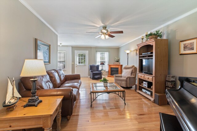 7104 Elrod Rd, Fairview, TN 37062 - living area featuring ceiling fan, ornamental molding, light wood finished floors, and a glass covered fireplace