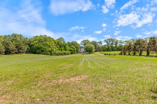 7104 Elrod Rd, Fairview, TN 37062 - view of green lawn with view of wooded area