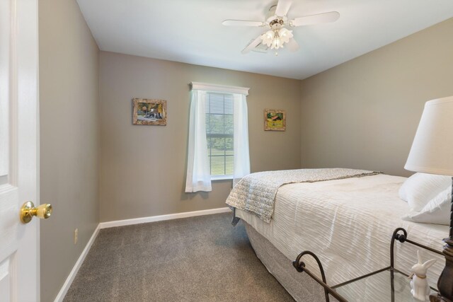 7104 Elrod Rd, Fairview, TN 37062 - bedroom with baseboards, carpet, and a ceiling fan