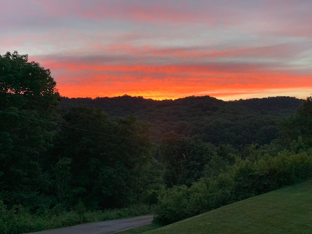 1764 Warren Hollow Rd, Nolensville, TN 37135 - mountain view with a heavily wooded area