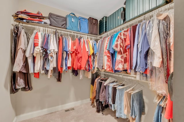 1764 Warren Hollow Rd, Nolensville, TN 37135 - walk in closet featuring carpet