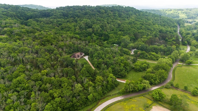 1764 Warren Hollow Rd, Nolensville, TN 37135 - bird's eye view of a forest