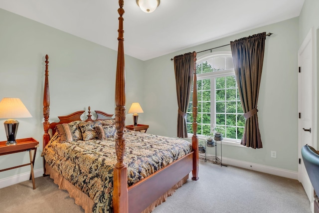 1764 Warren Hollow Rd, Nolensville, TN 37135 - bedroom featuring multiple windows, baseboards, and carpet
