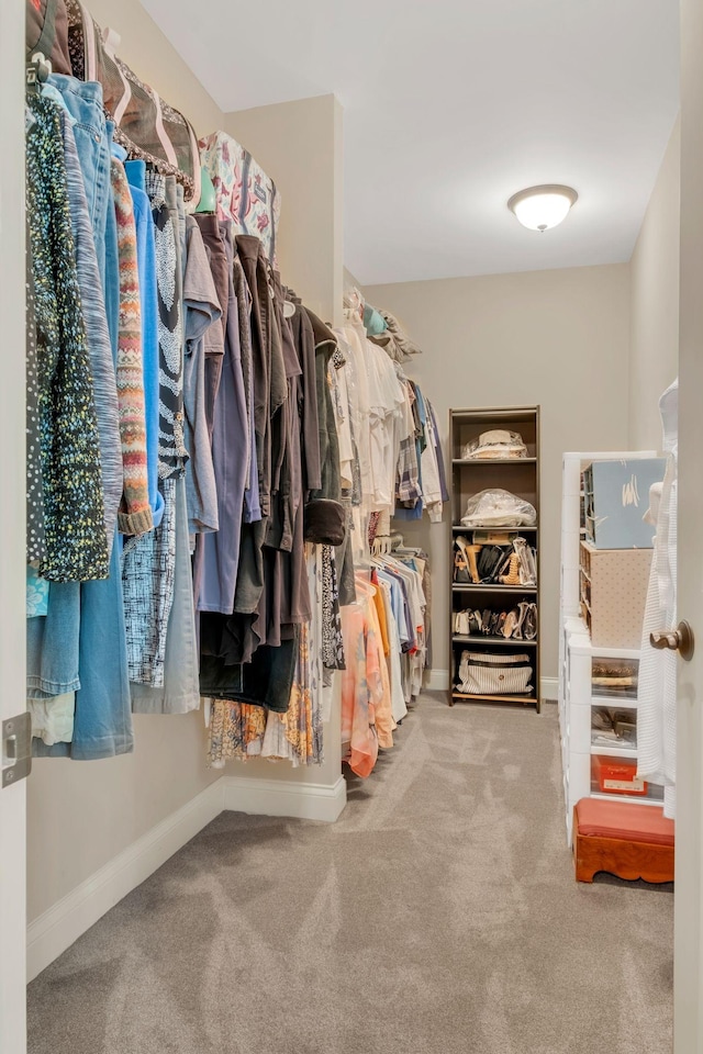 1764 Warren Hollow Rd, Nolensville, TN 37135 - walk in closet featuring carpet floors