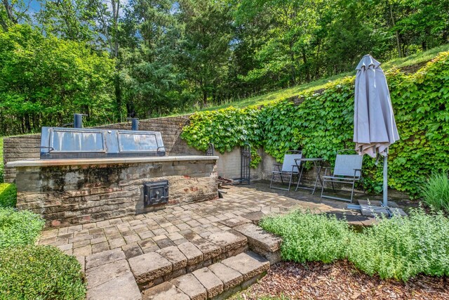1764 Warren Hollow Rd, Nolensville, TN 37135 - view of patio / terrace featuring exterior kitchen