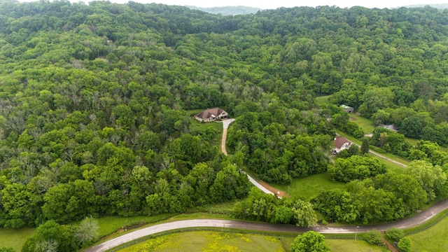 1764 Warren Hollow Rd, Nolensville, TN 37135 - bird's eye view of a heavily wooded area
