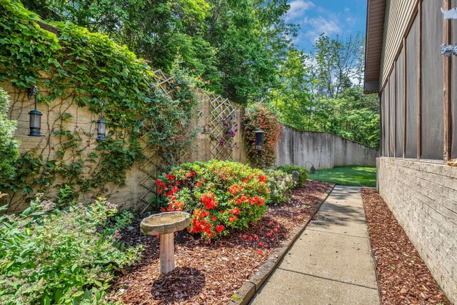 1764 Warren Hollow Rd, Nolensville, TN 37135 - view of fenced backyard