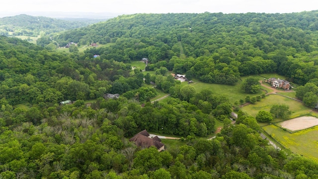 1764 Warren Hollow Rd, Nolensville, TN 37135 - bird's eye view of a forest