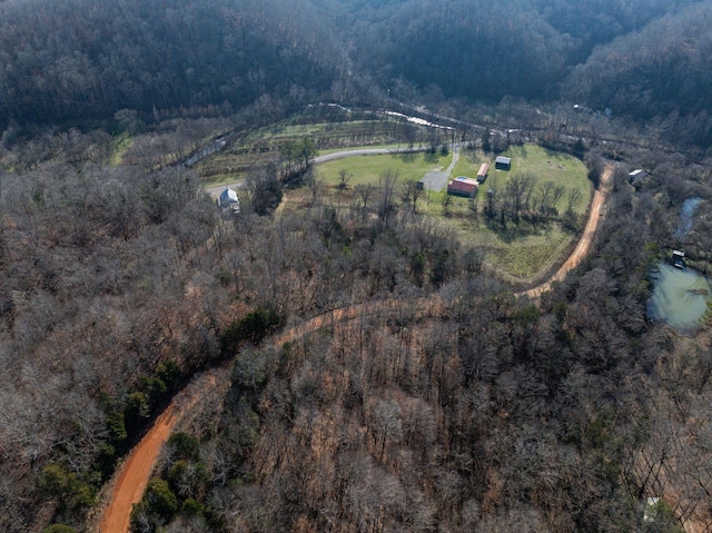 8310 Dog Creek Rd, Primm Springs, TN 38476 - aerial view of property's location with a forest and rural landscape