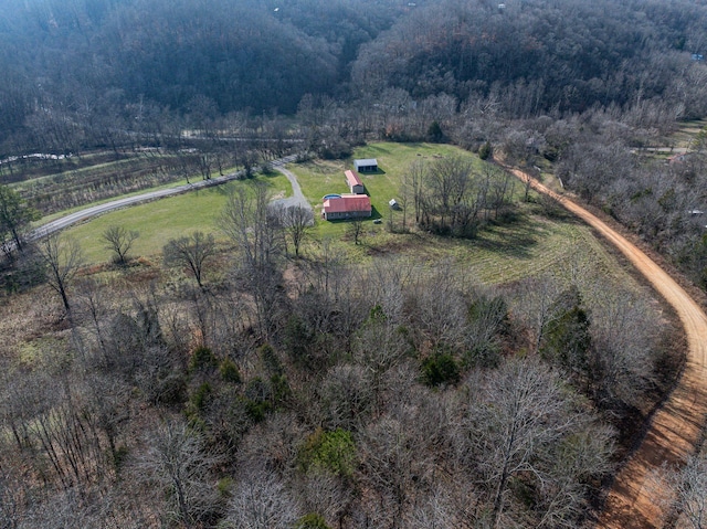 8310 Dog Creek Rd, Primm Springs, TN 38476 - aerial view of property and surrounding area featuring a forest and rural landscape