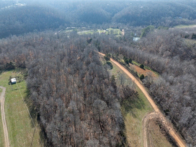 8310 Dog Creek Rd, Primm Springs, TN 38476 - aerial view of property's location featuring a forest and rural landscape