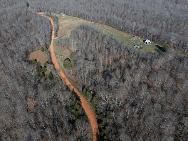 8310 Dog Creek Rd, Primm Springs, TN 38476 - aerial view of property's location featuring a forest and rural landscape