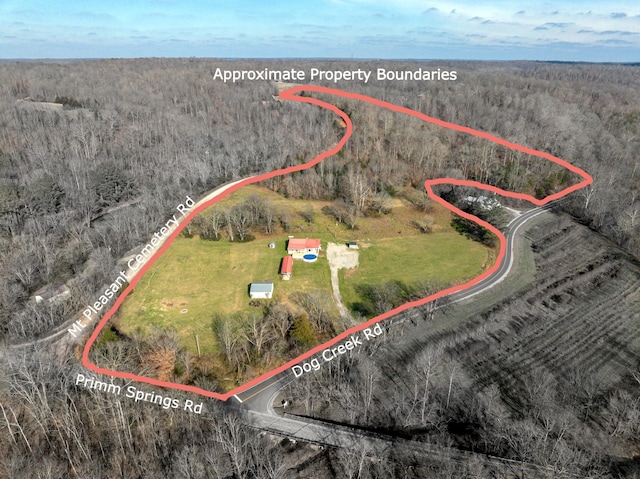 8310 Dog Creek Rd, Primm Springs, TN 38476 - aerial view of sparsely populated area with a heavily wooded area and property parcel outlined