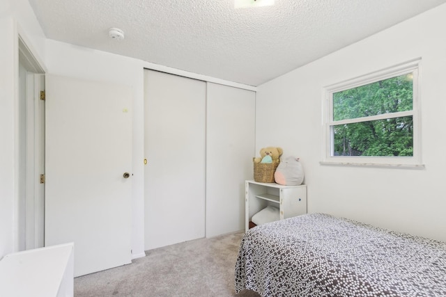 144 Airport Rd, Clarksville, TN 37042 - photo 24