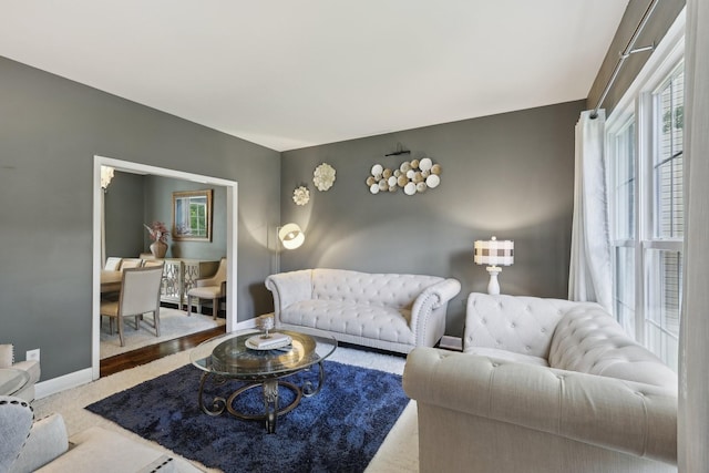 1423 Clairmonte Cir, Franklin, TN 37064 - carpeted living area featuring plenty of natural light and baseboards