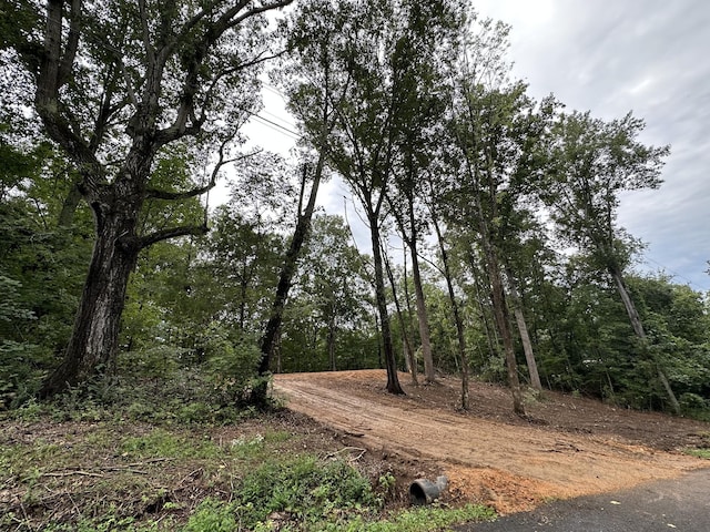 352 Pulley St, Erin, TN 37061