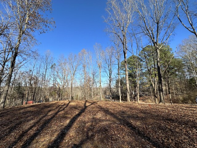 352 Pulley St, Erin, TN 37061