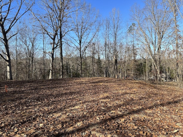 352 Pulley St, Erin, TN 37061