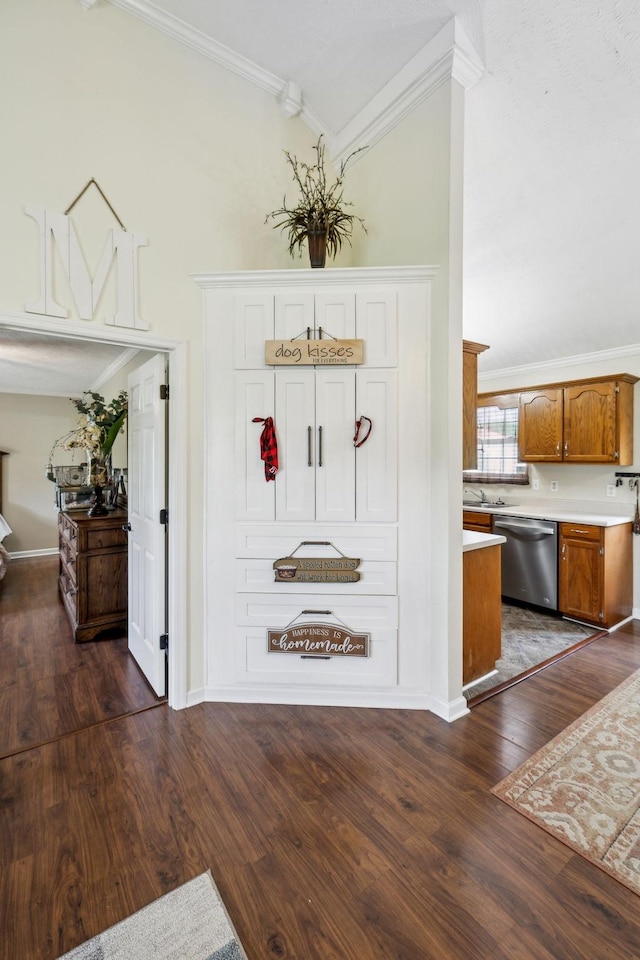 foyer entrance featuring ornamental molding, dark wood-type flooring, baseboards, and lofted ceiling