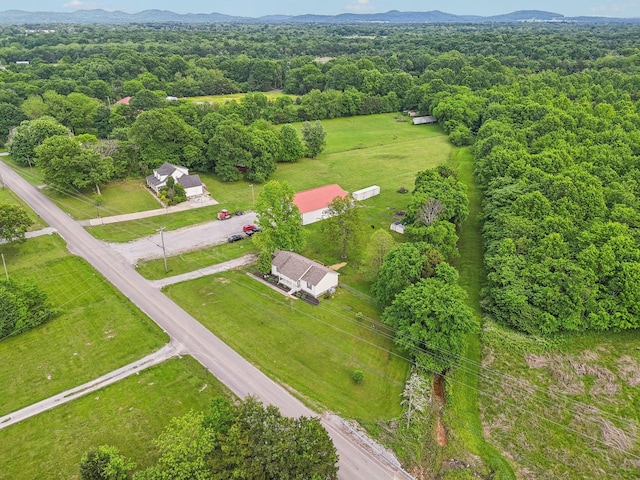 view of property location featuring a mountainous background and a heavily wooded area