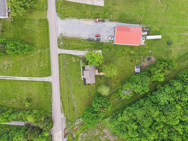 bird's eye view