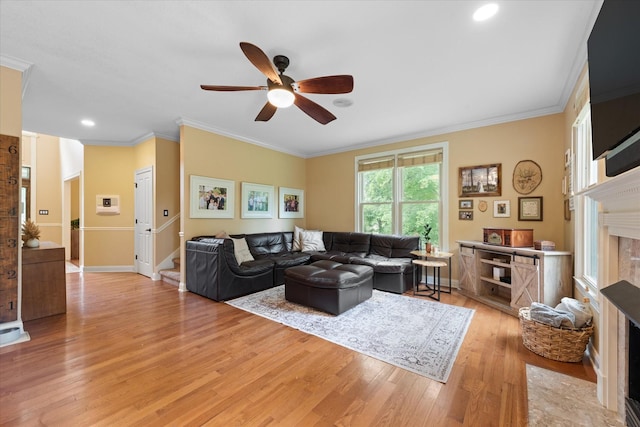 517 Pond Apple Rd, Clarksville, TN 37043 - photo 19
