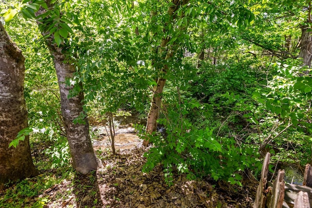 view of nature
