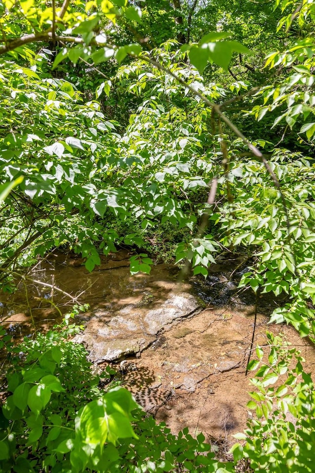 view of undeveloped land