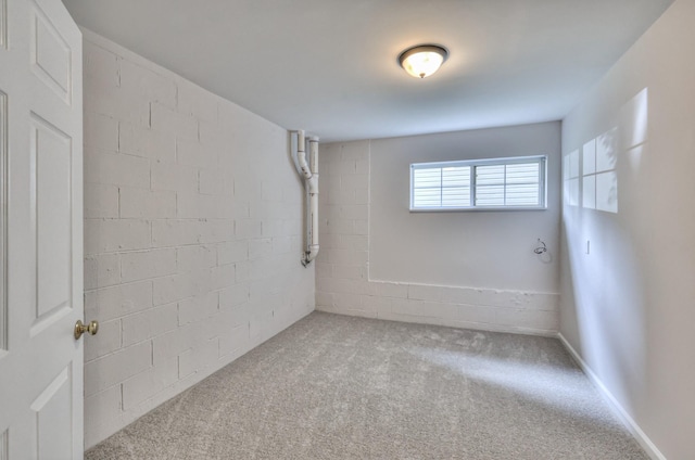 408 Parish Pl, Franklin, TN 37067 - below grade area featuring carpet flooring and concrete block wall