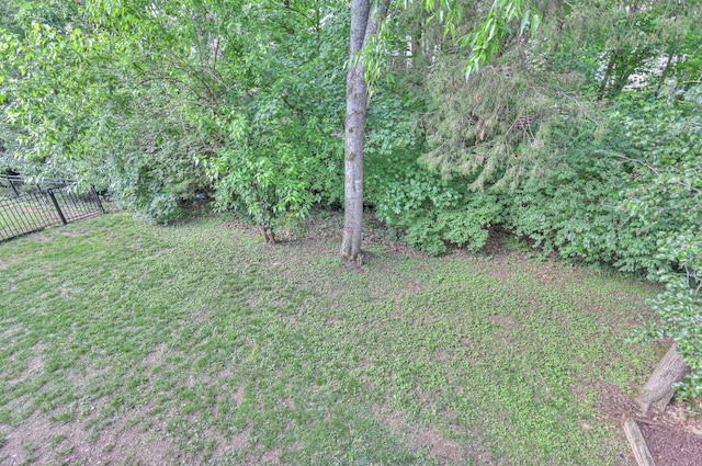 408 Parish Pl, Franklin, TN 37067 - view of yard