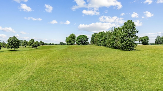 3077 Nashville Hwy, Lewisburg, TN 37091 - photo 23