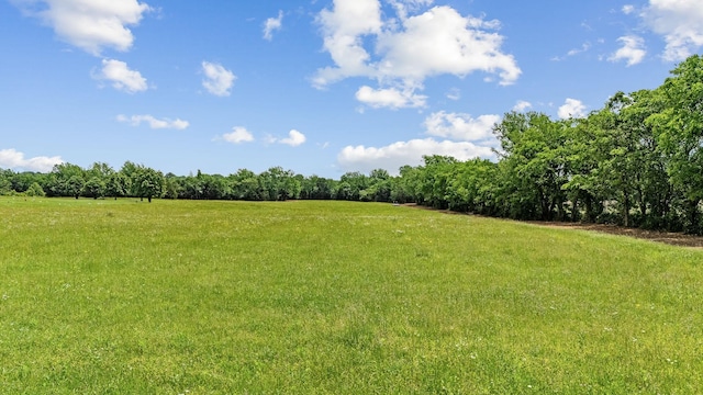 3077 Nashville Hwy, Lewisburg, TN 37091 - photo 20