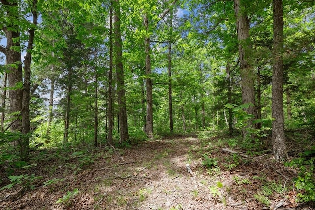 4410 Trace Creek Rd, Mc Ewen, TN 37101 - view of woods