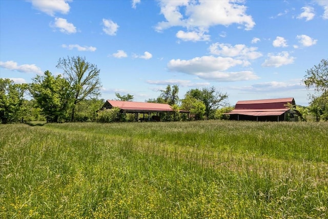 4410 Trace Creek Rd, Mc Ewen, TN 37101 - view of yard